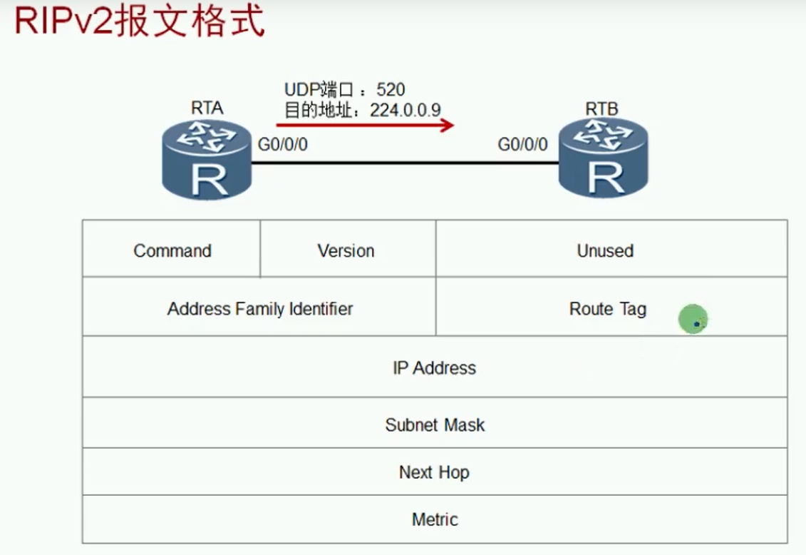 alt RIPv2 报文