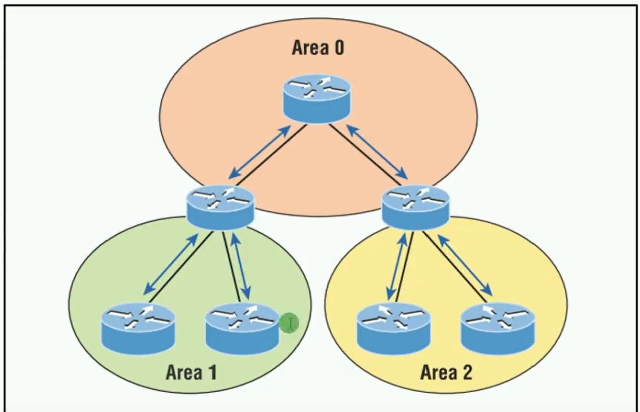 alt OSPF区域类型