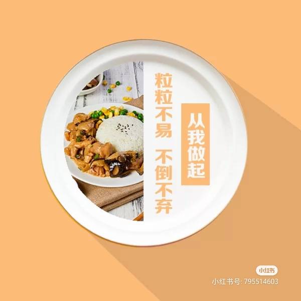 大学生社会实践情况调查