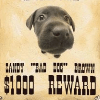 Wanted Poster Generator