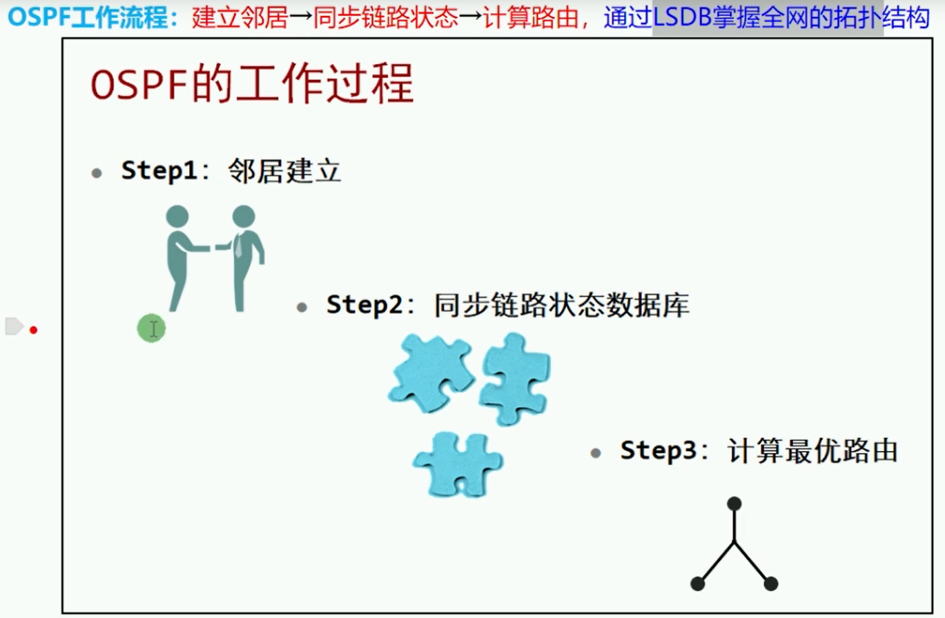 alt OSPF工作过程