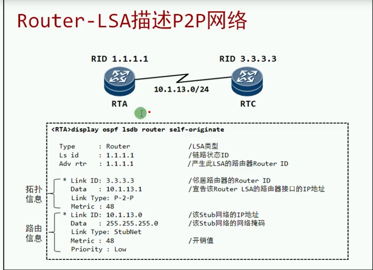 Router LSA图示