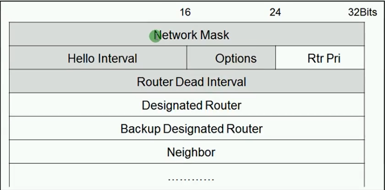 alt OSPF Hello包