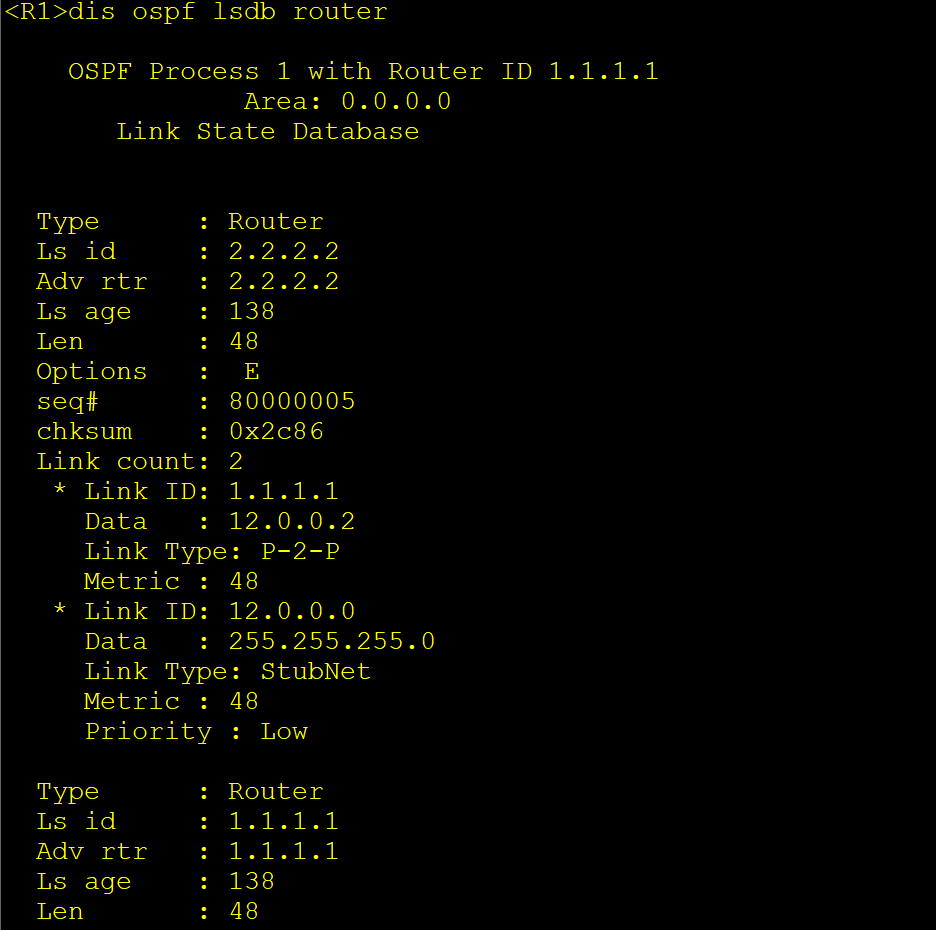 alt Router LSA验证