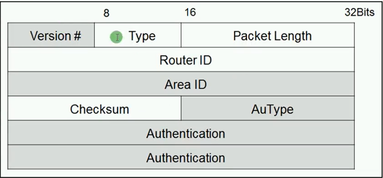 alt OSPF Header包