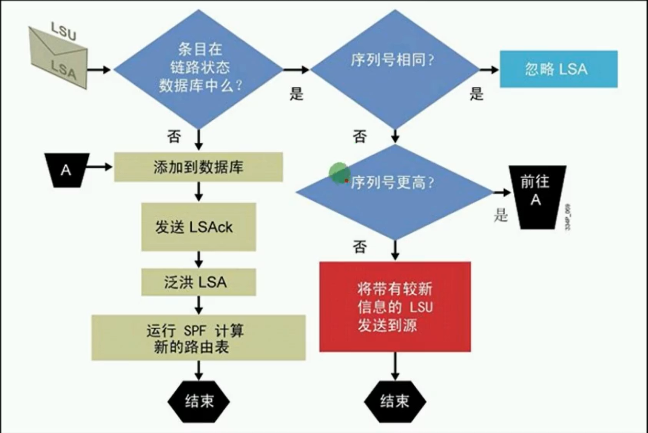 alt 序列号判断重复的LSA