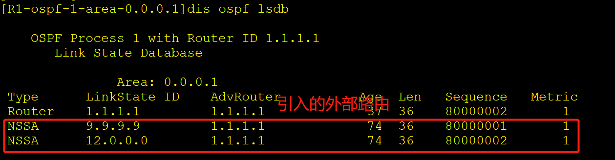 atl 配置NSSA的LSDB