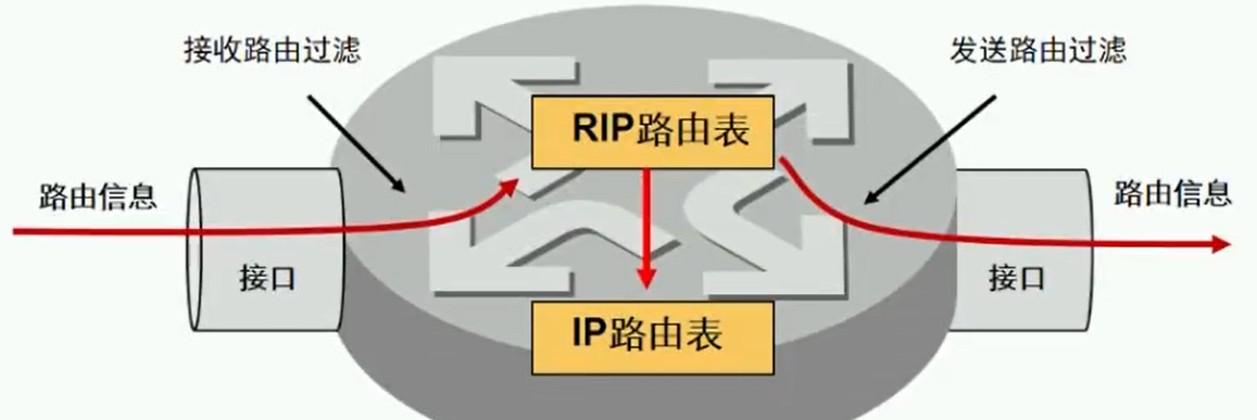 alt RIP总结