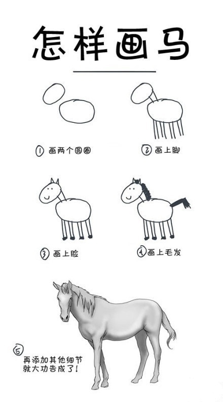 how-to-draw-a-horse.jpeg