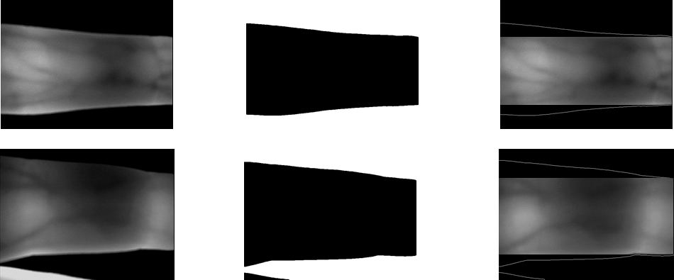 image-20210702214737417