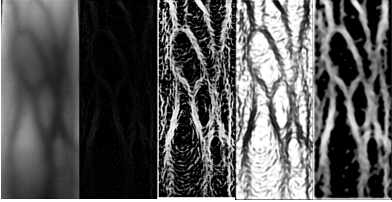 image-20210702215845329