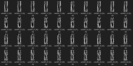 image-20210702220725319