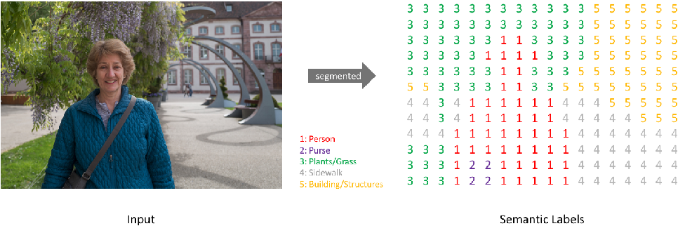 Semantic Segmentation