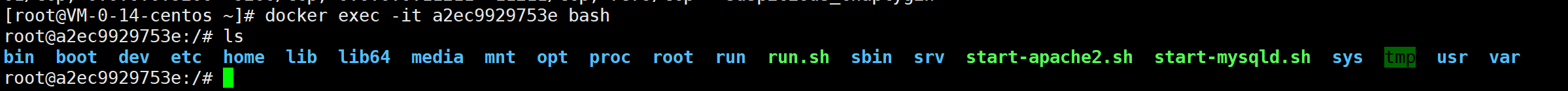 image-20210417223949376