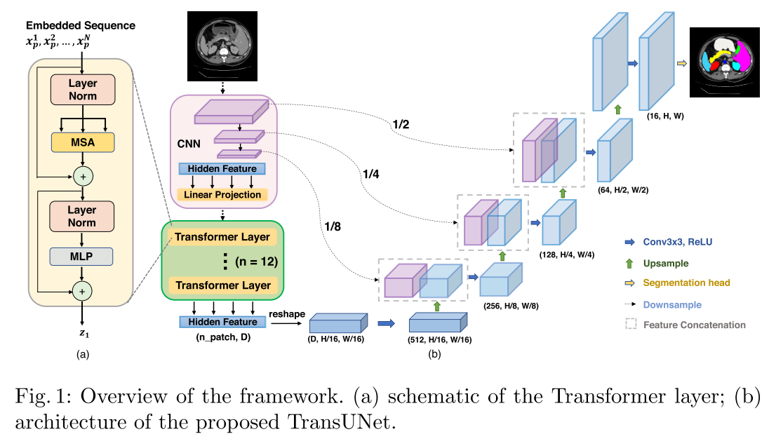 TransU-Net(R50+ViT)