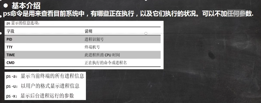 image-20210813145838636