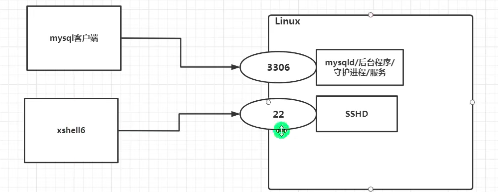 image-20210814100817500