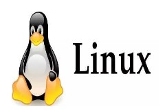 Linux文件管理,用户管理