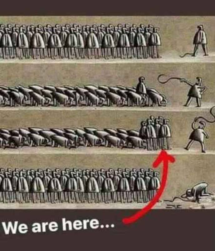 2021年9月19日星期日文摘:耐心正在消耗;病人正在死去|星际飞船地球