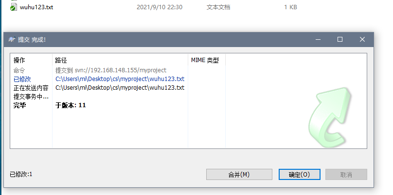 Windows下SVN的搭建 - 图13
