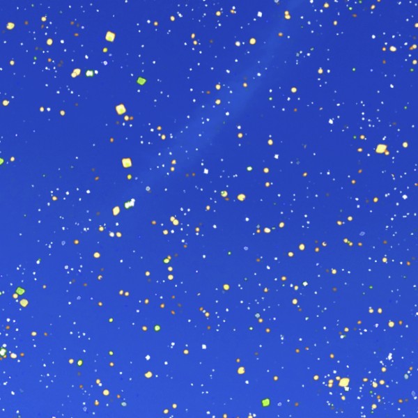 在校生民族认识调查