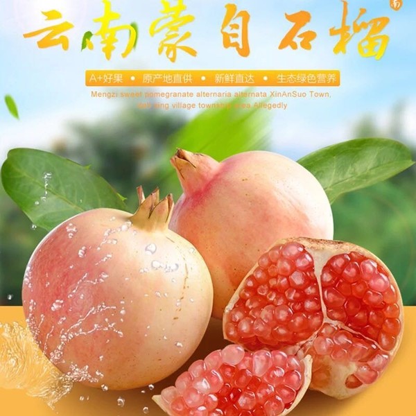 蒙自石榴文化调查
