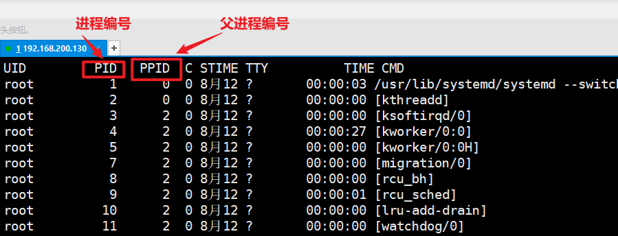 image-20210813153527743