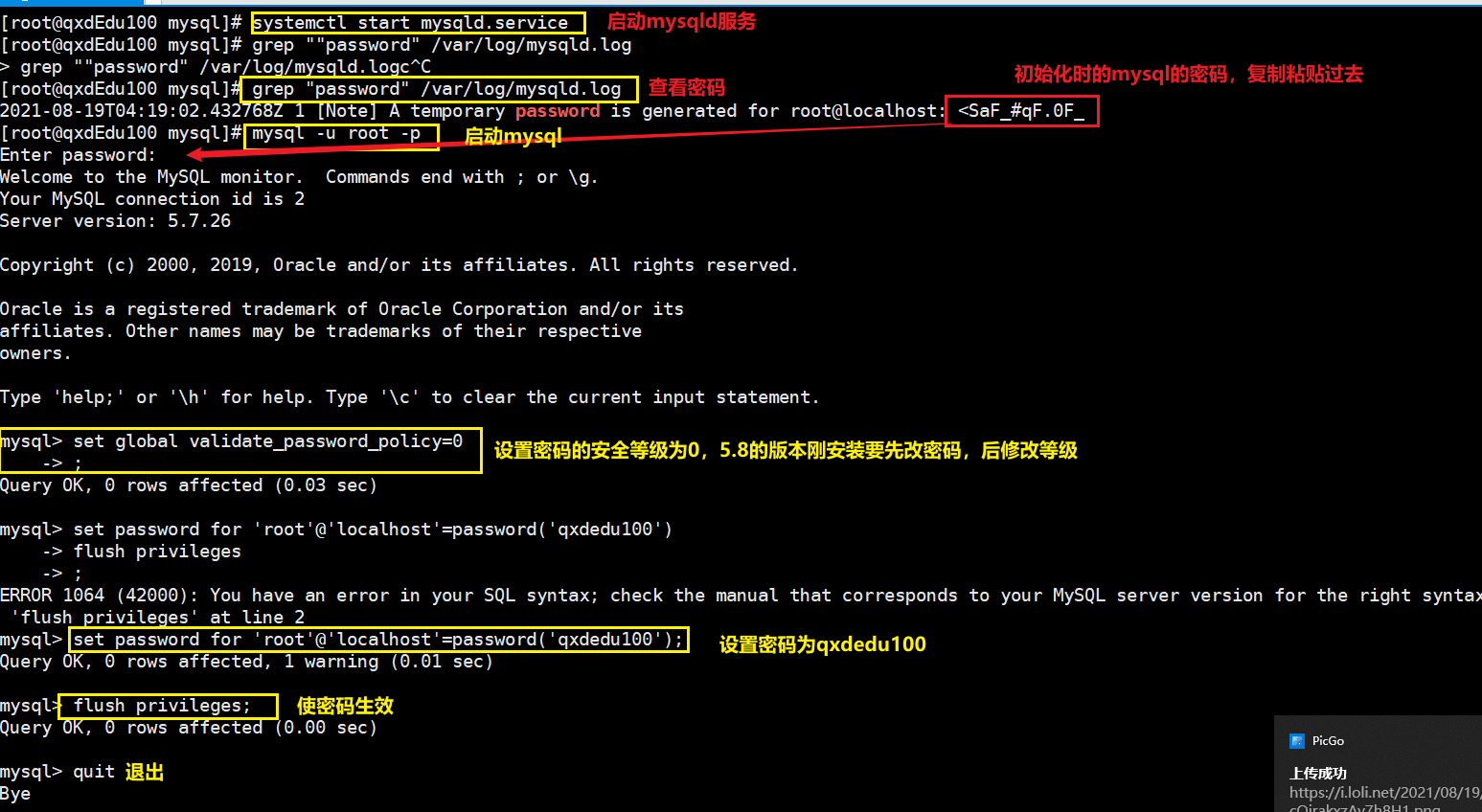 image-20210819123658222