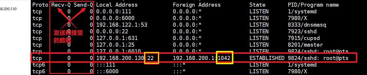 image-20210817170517819