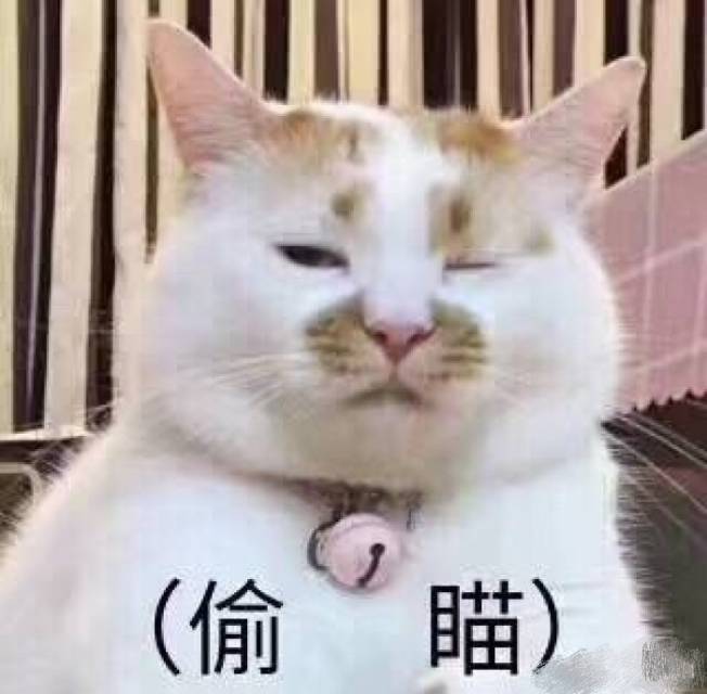学生对于特长生的看法