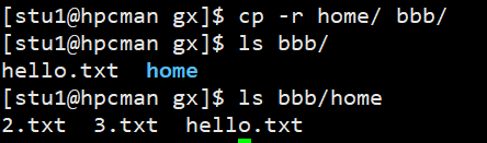 image-20211007195455366