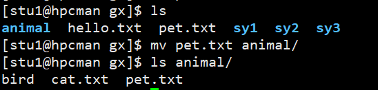 image-20211007202410242