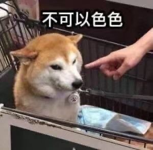 关于我的