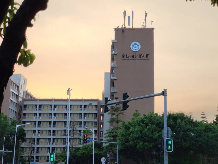 关于广外生活中的小困惑的调差问卷