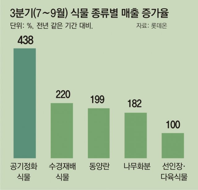 韩国室内伴生植物销售额增长265%