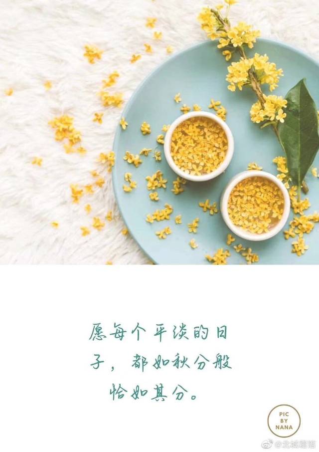饮食习惯调查问卷