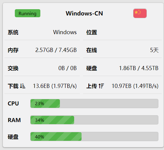 大佬们帮我看看哪吒探针，这上传下载怎么上T了