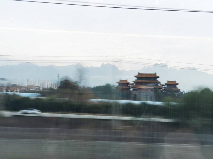 杜新宇是猪吗