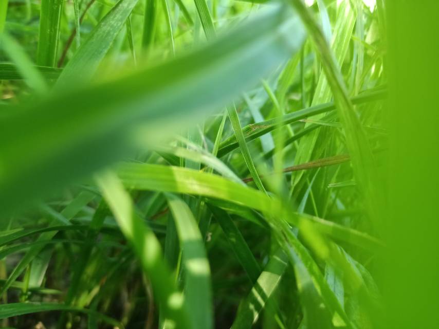 大学生社交恐惧症调查